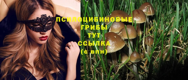 гашик Заволжск