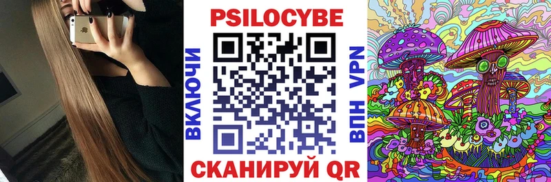 OMG tor  Владимир  Псилоцибиновые грибы Psilocybe  что такое наркотик 